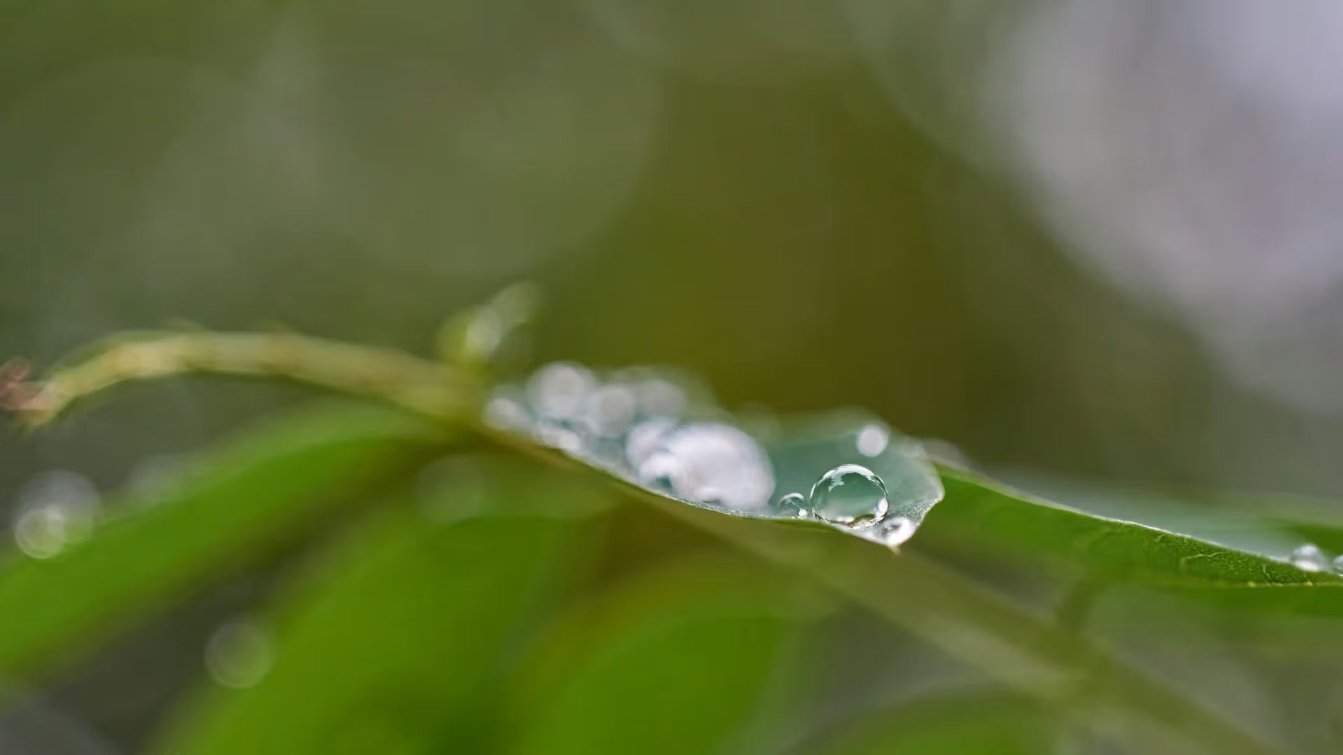 PFAS-vrije reiniging zijn goed voor jou en het milieu. - Chemona